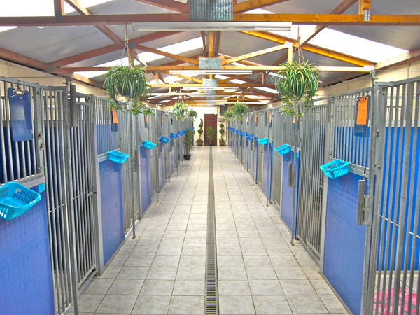 HILLWAY KENNELS :) For Happy Dogs and Cats